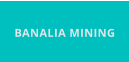 BANALIA MINING